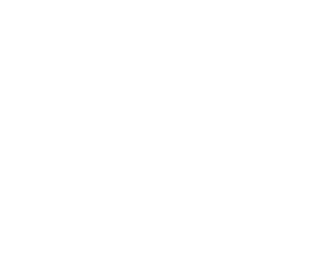 Swissport