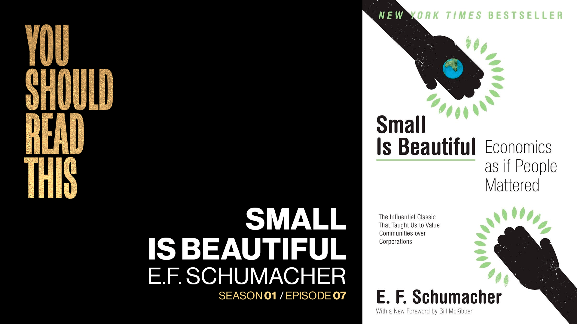 Ernst schumacher small is promo beautiful